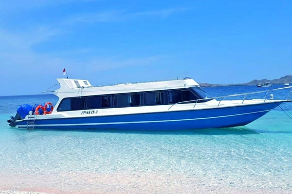 Speed-Boat-Charter-komodo